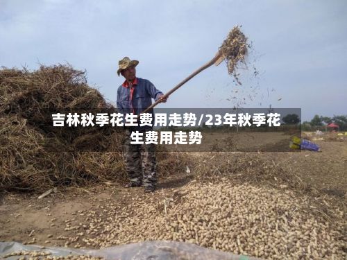 吉林秋季花生费用走势/23年秋季花生费用走势-第2张图片