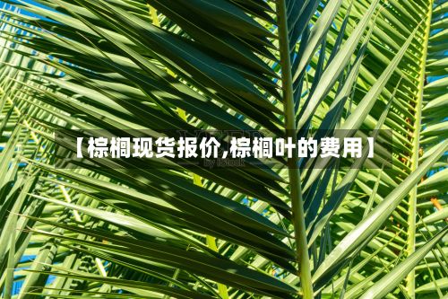 【棕榈现货报价,棕榈叶的费用】-第2张图片