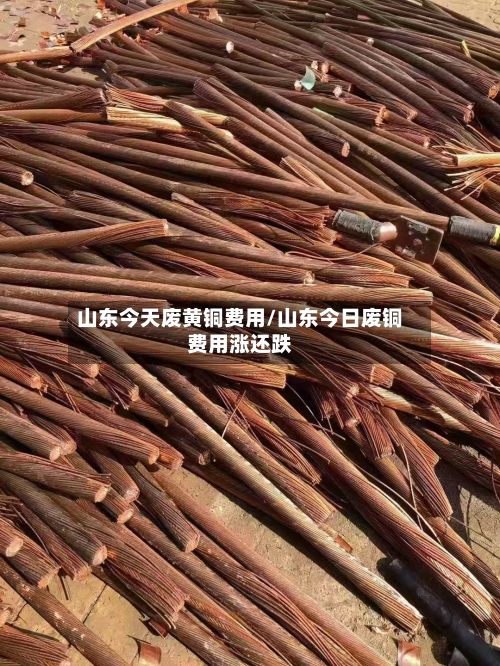 山东今天废黄铜费用/山东今日废铜费用涨还跌-第2张图片