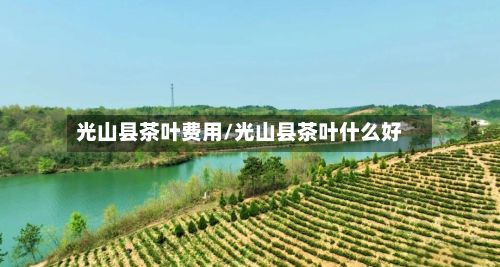 光山县茶叶费用/光山县茶叶什么好-第2张图片