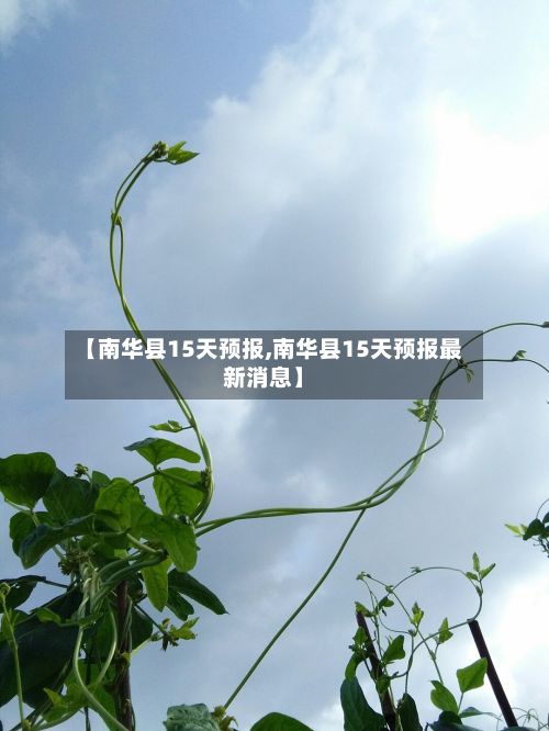 【南华县15天预报,南华县15天预报最新消息】