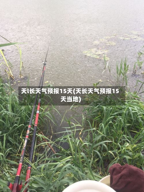 天l长天气预报15天(天长天气预报15天当地)