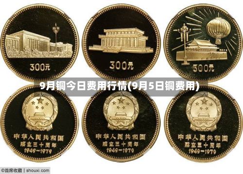9月铜今日费用行情(9月5日铜费用)-第2张图片