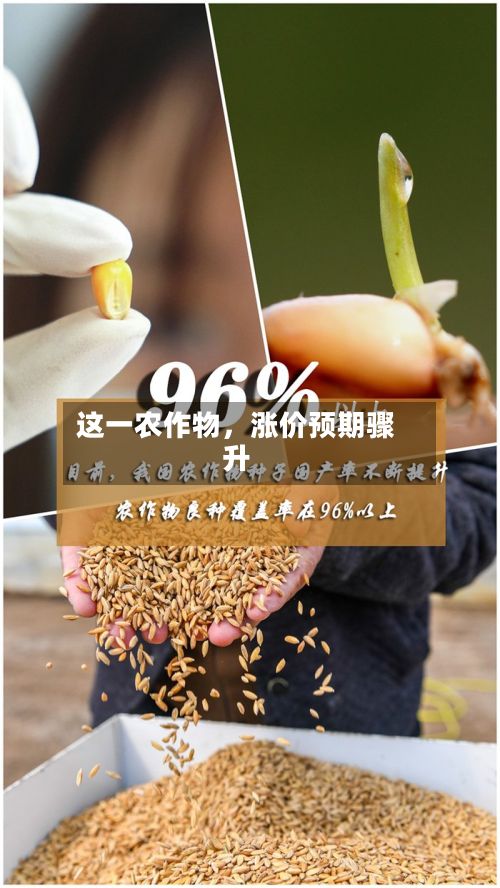 这一农作物	，涨价预期骤升-第2张图片