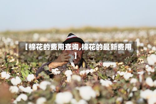 【棉花的费用查询,棉花的最新费用】
