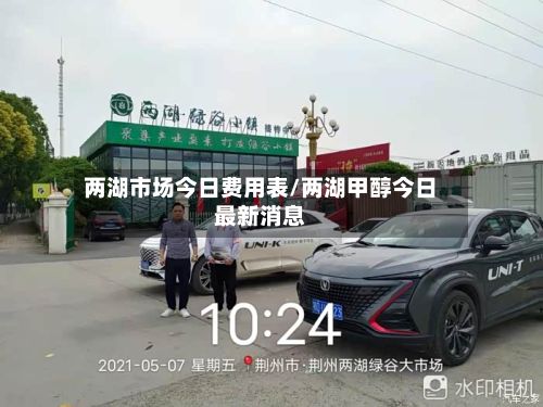 两湖市场今日费用表/两湖甲醇今日最新消息-第2张图片