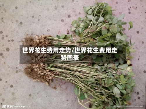 世界花生费用走势/世界花生费用走势图表-第3张图片