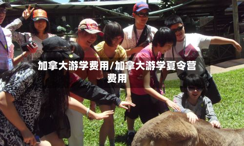 加拿大游学费用/加拿大游学夏令营费用