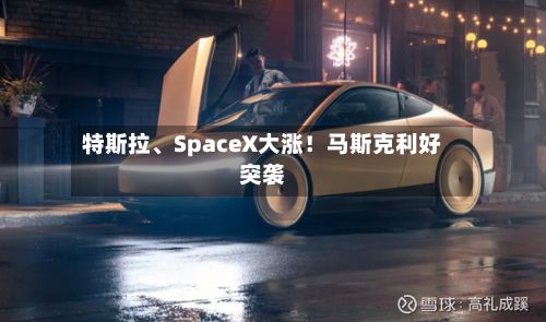 特斯拉、SpaceX大涨！马斯克利好突袭-第3张图片