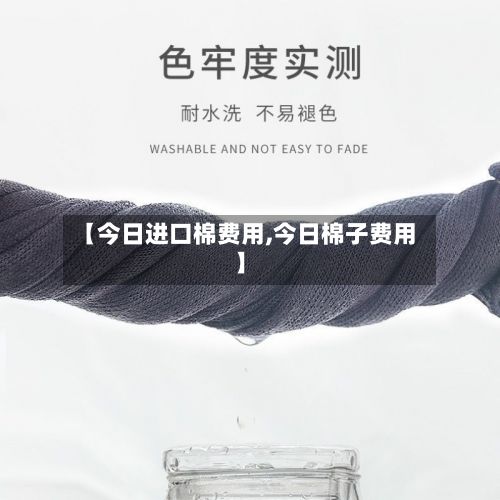 【今日进口棉费用,今日棉子费用】