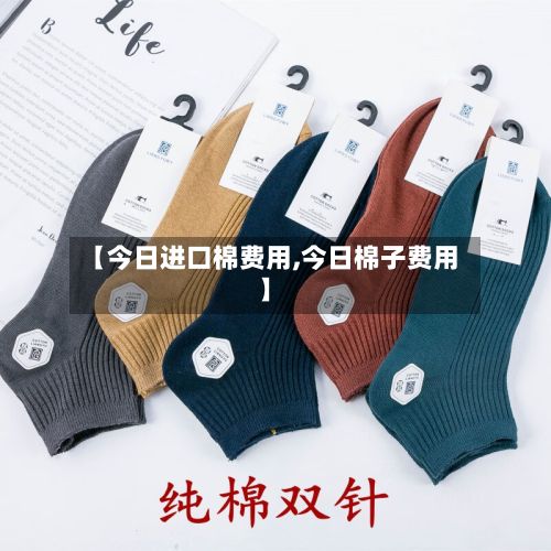 【今日进口棉费用,今日棉子费用】-第2张图片