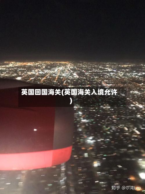 英国回国海关(英国海关入境允许)