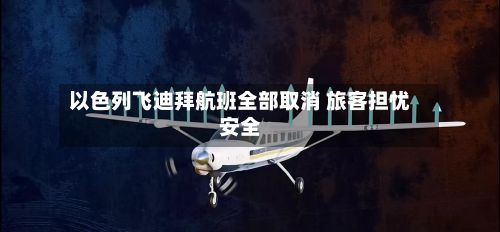 以色列飞迪拜航班全部取消 旅客担忧安全