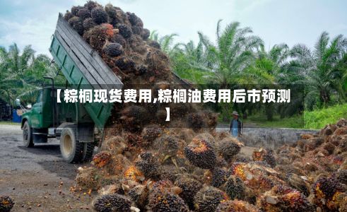 【粽桐现货费用,粽榈油费用后市预测】