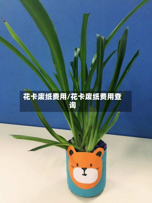 花卡废纸费用/花卡废纸费用查询