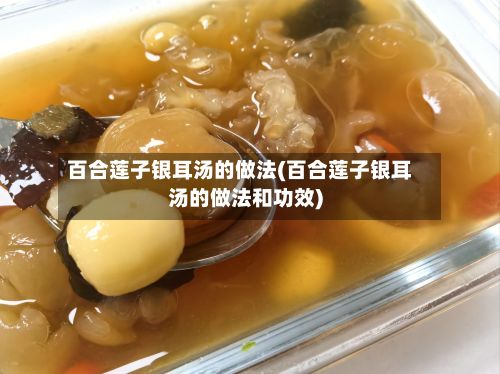 百合莲子银耳汤的做法(百合莲子银耳汤的做法和功效)
