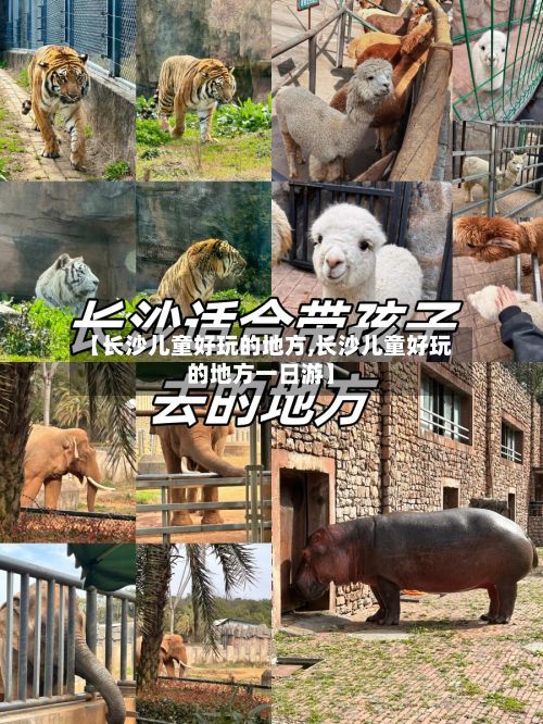 【长沙儿童好玩的地方,长沙儿童好玩的地方一日游】-第2张图片