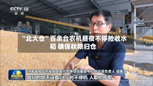 “北大仓”百余台农机昼夜不停抢收水稻 确保秋粮归仓-第2张图片