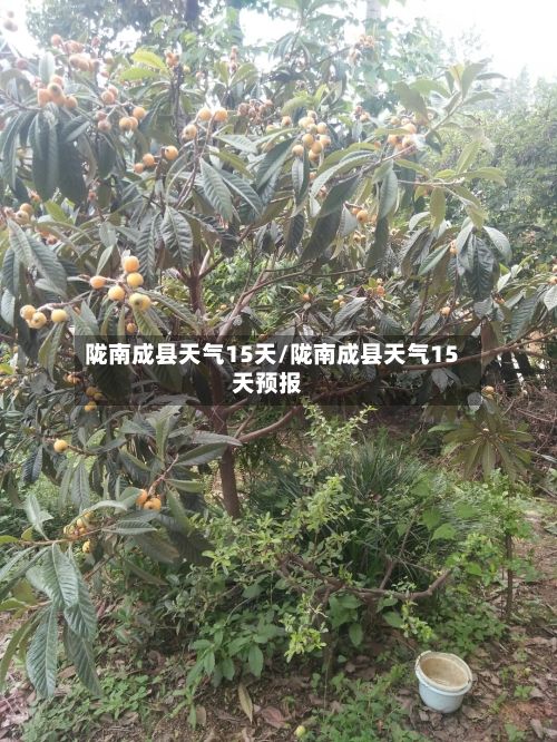 陇南成县天气15天/陇南成县天气15天预报-第3张图片