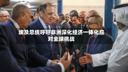 埃及总统呼吁非洲深化经济一体化应对全球挑战-第3张图片