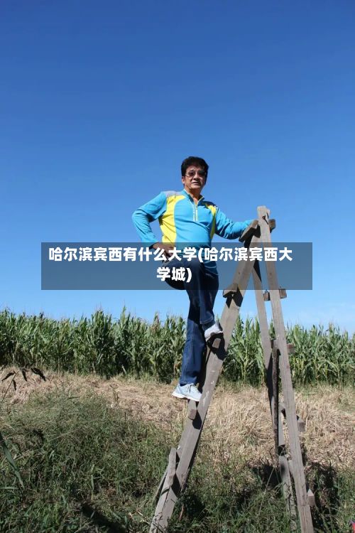 哈尔滨宾西有什么大学(哈尔滨宾西大学城)