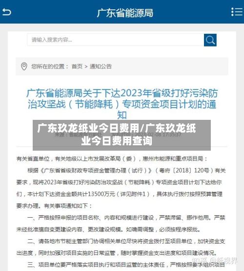 广东玖龙纸业今日费用/广东玖龙纸业今日费用查询