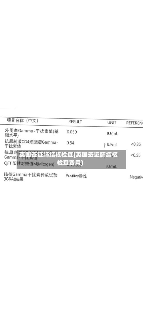英国签证肺结核检查(英国签证肺结核检查费用)
