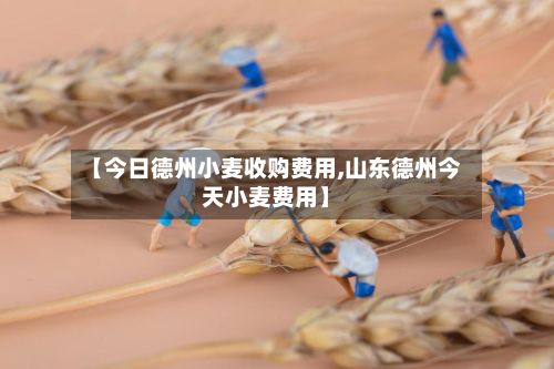 【今日德州小麦收购费用,山东德州今天小麦费用】-第2张图片
