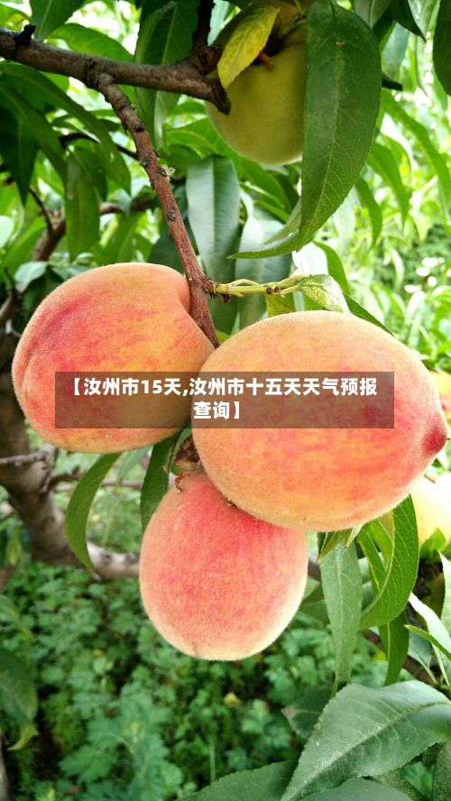 【汝州市15天,汝州市十五天天气预报查询】
