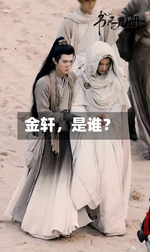 金轩，是谁？-第2张图片