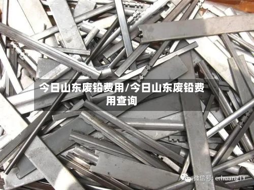 今日山东废铅费用/今日山东废铅费用查询