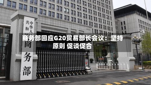商务部回应G20贸易部长会议:坚持原则 促谈促合-第3张图片