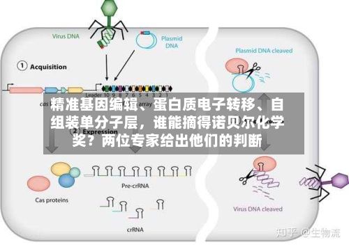 精准基因编辑、蛋白质电子转移、自组装单分子层，谁能摘得诺贝尔化学奖？两位专家给出他们的判断