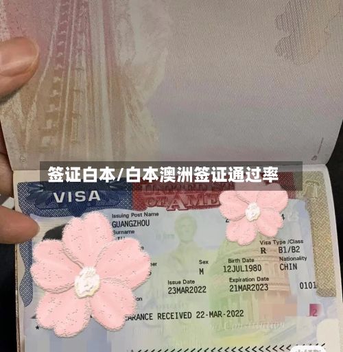 签证白本/白本澳洲签证通过率-第2张图片