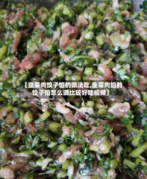 【韭菜肉饺子馅的做法吃,韭菜肉馅的饺子馅怎么调比较好吃视频】