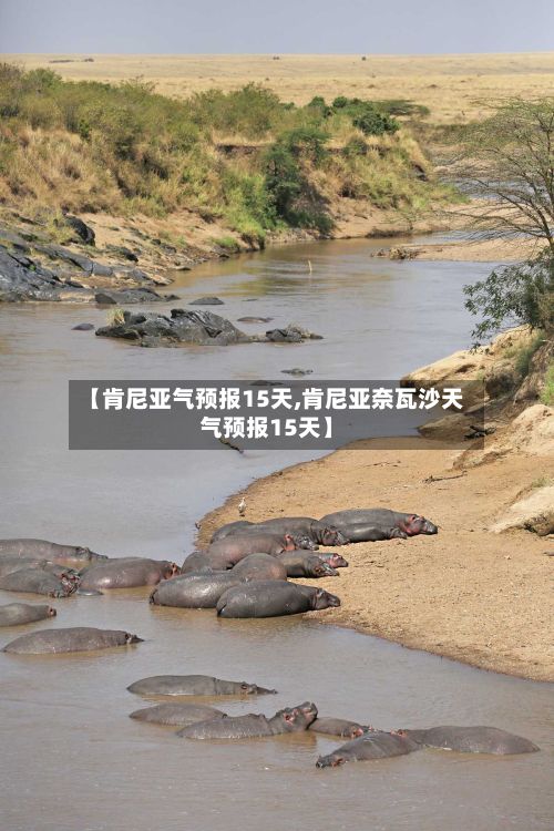【肯尼亚气预报15天,肯尼亚奈瓦沙天气预报15天】-第3张图片