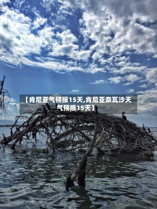 【肯尼亚气预报15天,肯尼亚奈瓦沙天气预报15天】