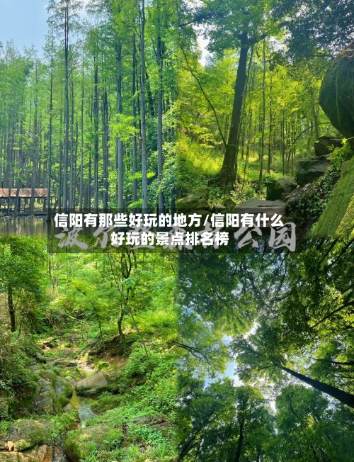 信阳有那些好玩的地方/信阳有什么好玩的景点排名榜-第3张图片