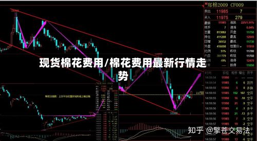 现货棉花费用/棉花费用最新行情走势