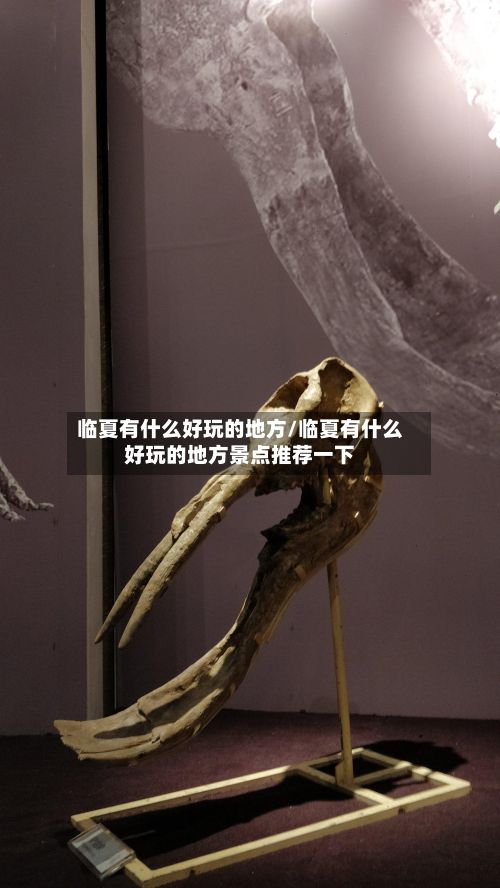 临夏有什么好玩的地方/临夏有什么好玩的地方景点推荐一下