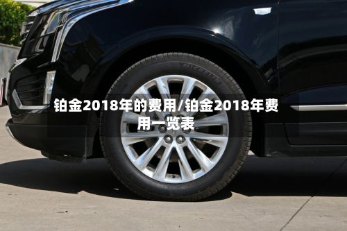 铂金2018年的费用/铂金2018年费用一览表-第3张图片