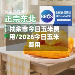 扶余市今日玉米费用/2026今日玉米费用-第3张图片