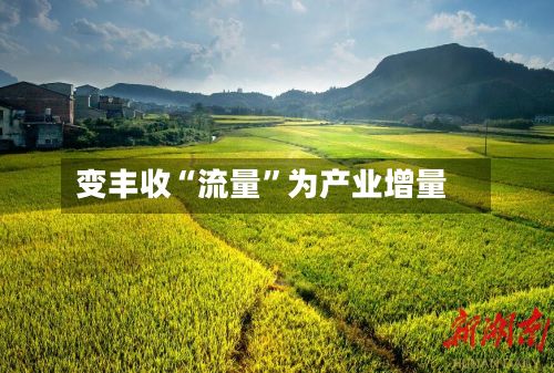 变丰收“流量	”为产业增量-第3张图片