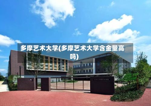 多摩艺术大学(多摩艺术大学含金量高吗)