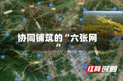 协同铺筑的“六张网”-第3张图片