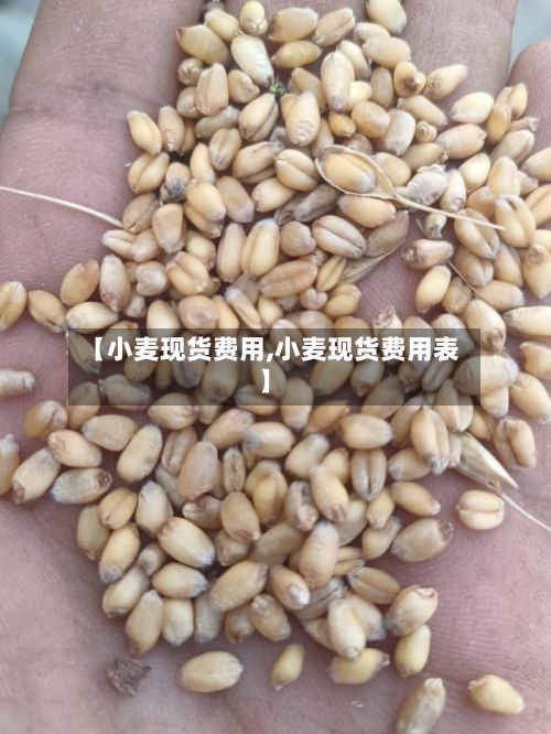 【小麦现货费用,小麦现货费用表】
