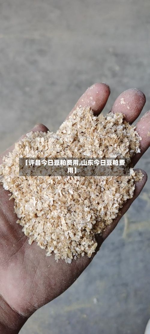 【许昌今日豆粕费用,山东今日豆粕费用】