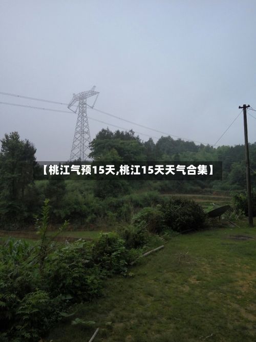 【桃江气预15天,桃江15天天气合集】
