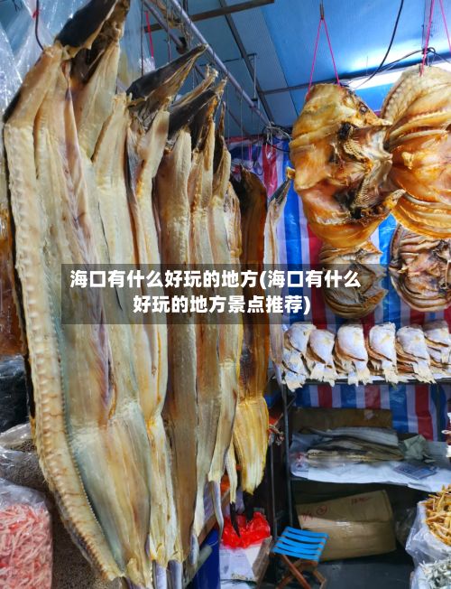 海口有什么好玩的地方(海口有什么好玩的地方景点推荐)
