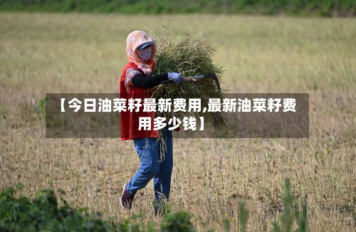 【今日油菜籽最新费用,最新油菜籽费用多少钱】